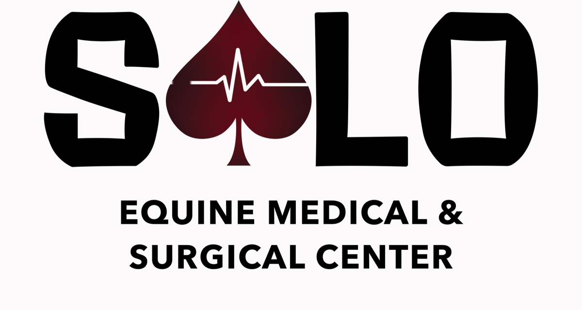 Solo Equine Medical & Surgical Center